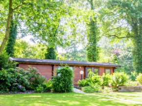 Nice chalet with gas fireplace in the Achterhoek